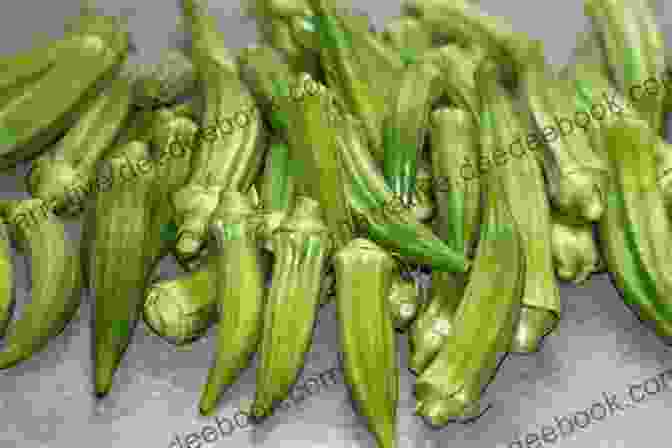 A Bunch Of Fresh Okra With Green, Ribbed Pods And A Pointed Tip ABC To Z Fruit And Vegetables : English For Kids Toddler And Preschool For Children Brings Words And Images Together Making It Enjoyable And Easy For Young Readers To Improve Their Vocabulary