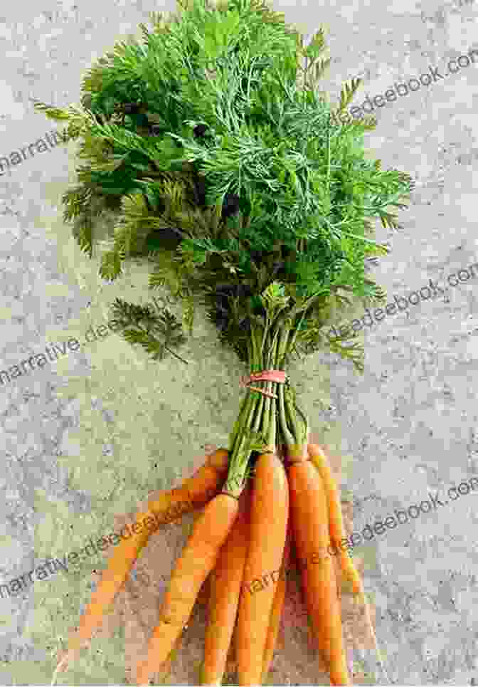 A Bundle Of Fresh, Orange Carrots With Their Leafy Tops ABC To Z Fruit And Vegetables : English For Kids Toddler And Preschool For Children Brings Words And Images Together Making It Enjoyable And Easy For Young Readers To Improve Their Vocabulary