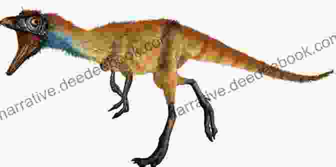 A Colorful Illustration Of Dinosaur Squeak The Compsognathus, A Small, Bipedal Dinosaur With Feathers And A Curious Expression. Dinosaur Squeak The Compsognathus (The World Of Dinosaur Roar 10)