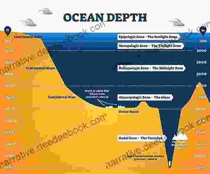 A Diagram Of The Ocean Zones ABC To Z Underwater For Kids : English For Kids Toddler And Preschool For Children Brings Words And Images Together Making It Enjoyable And Easy For Young Readers To Improve Their Vocabulary
