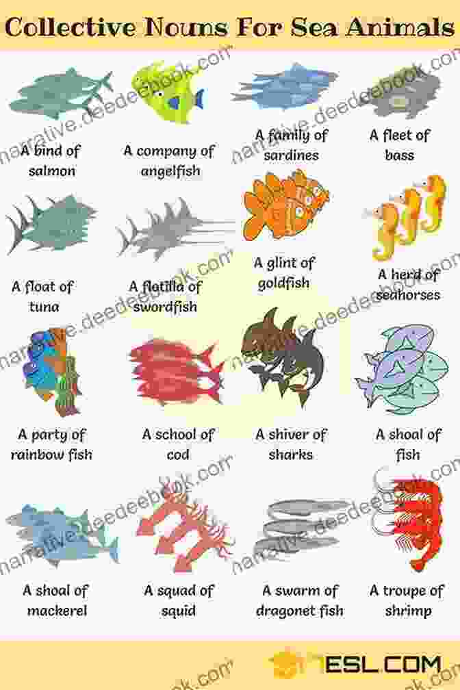 A Group Of Ocean Animals ABC To Z Underwater For Kids : English For Kids Toddler And Preschool For Children Brings Words And Images Together Making It Enjoyable And Easy For Young Readers To Improve Their Vocabulary