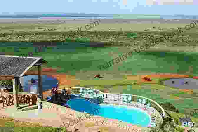A Luxurious Safari Lodge Overlooking A Tranquil Watering Hole Safari Adventure Stories R E Canan