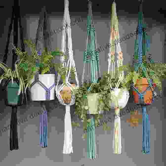 A Photo Of A Macrame Plant Hanger Colourful Fun Embroidery: Featuring 24 Modern Projects To Bring Joy And Happiness To Your Life (Crafts)