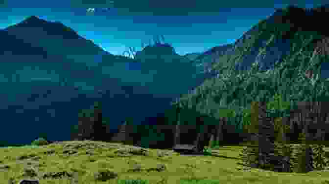 A Photograph Of A Forest With Trees In The Foreground And A Mountain Range In The Background. The Trees Are Tall And Slender, And They Have A Variety Of Leaves, Including Green, Yellow, And Red. The Mountain Range Is Snow Capped, And It Stretches Across The Horizon. A Forest Of Names: 108 Meditations (Wesleyan Poetry Series)