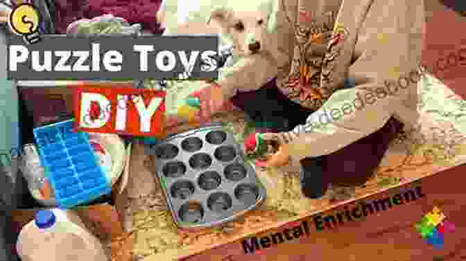 A Variety Of Enrichment Toys And Activities, Showcasing The Diverse Ways To Stimulate A Dog's Mind And Body. A Dog S Way : How Dogs Make Us Better People
