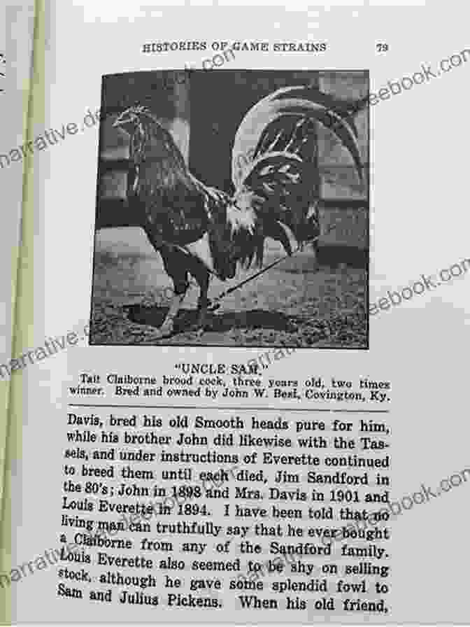 Albany Gamefowl Histories Of Game Strains (History Of Cockfighting Series): Read Country