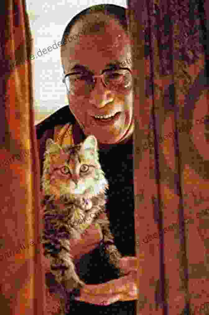 Dalai Lama With His Cat, Dorje The Dalai Lama S Cat And The Art Of Purring