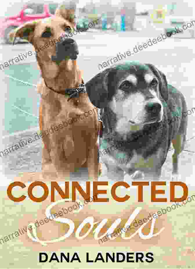 Dana Landers, The Renowned Animal Artist, With Her Beloved Dog, Luna Connected Souls Dana Landers