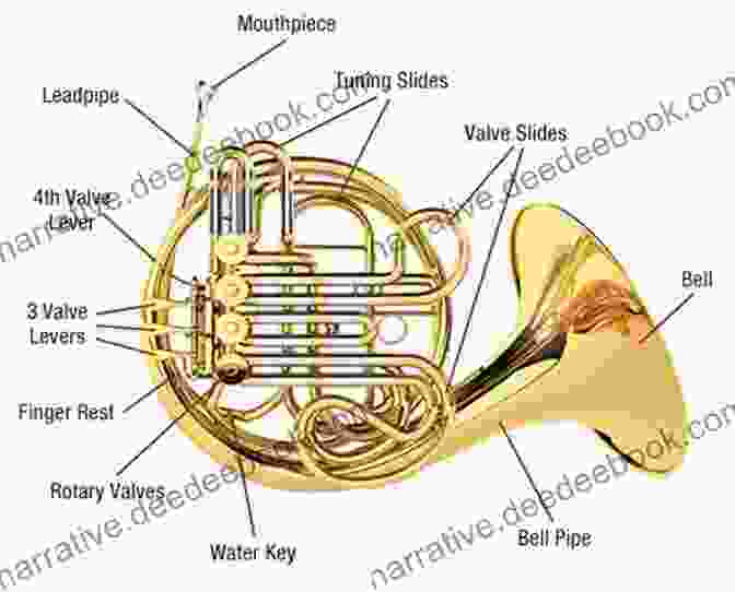 Diagram Of The French Horn's Anatomy, Including Valves, Tubing, And Bell Learn To Play The French Horn 1