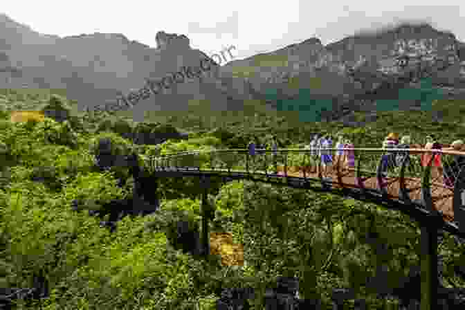 Kirstenbosch National Botanical Garden, Cape Town Visiting Capetown : Your Complete Guide For Your Trip To Capetown (Discover Africa With Safer : Complete Guides For Your Trip To Africa)