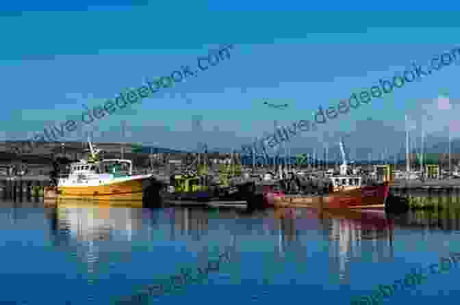 Picture Of Dingle's Colorful Harbor With Fishing Boats And Buildings Ireland: Small Town Itineraries For The Foodie Traveler