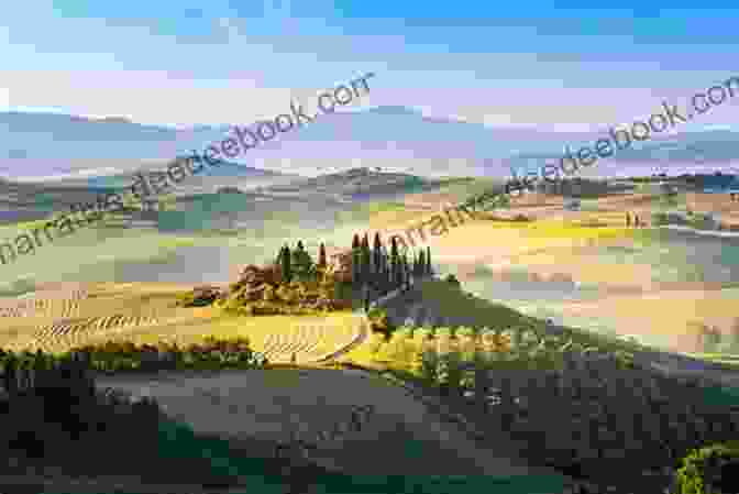 Rolling Hills And Vineyards In The Tuscan Countryside Florence Tuscany With Kids 2024: Florence And Tuscany Travel Guide 2024