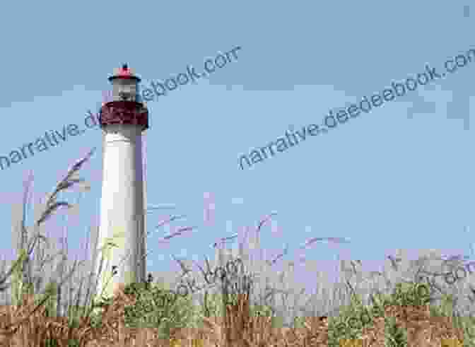 Soaring Cape May Lighthouse Standing Amidst The Vibrant Autumn Colors, Offering Panoramic Views Of The Town And The Atlantic Ocean A Cozy Cape May Autumn (Cape May 8)