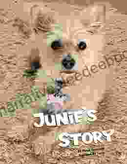 Junie S Story: A Special Wish From A Little Dog Who Lost Her Forever Home