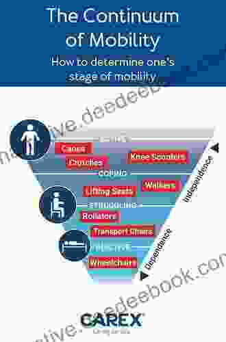 The Politics Of Proximity: Mobility And Immobility In Practice (Transport And Society)