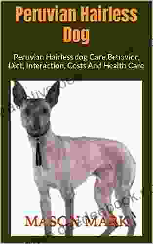 Peruvian Hairless Dog : Peruvian Hairless Dog Care Behavior Diet Interaction Costs And Health Care