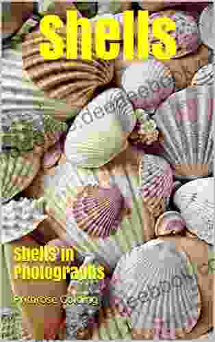 Shells: Shells In Photographs David Michie
