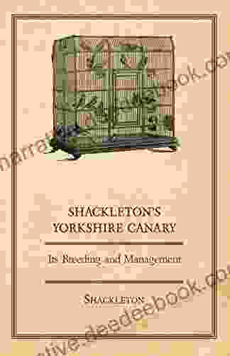 Shackleton S Yorkshire Canary Its Breeding And Management