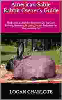 American Sable Rabbit Owner S Guide : The Essential Guide For Beginners On The Care Training Grooming Breeding Health And More For Your Amazing Pet