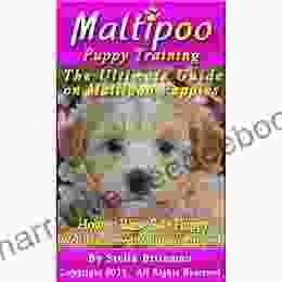 Maltipoo Puppy Training: The Ultimate Guide On Maltipoo Puppies How To Raise Safe Happy Well Mannered Maltipoo Puppies