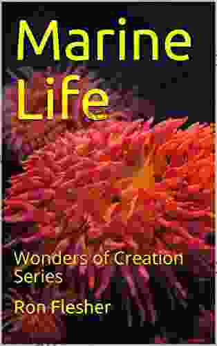 Marine Life: Wonders Of Creation